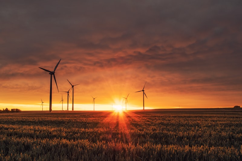 Sustainable Software Engineering